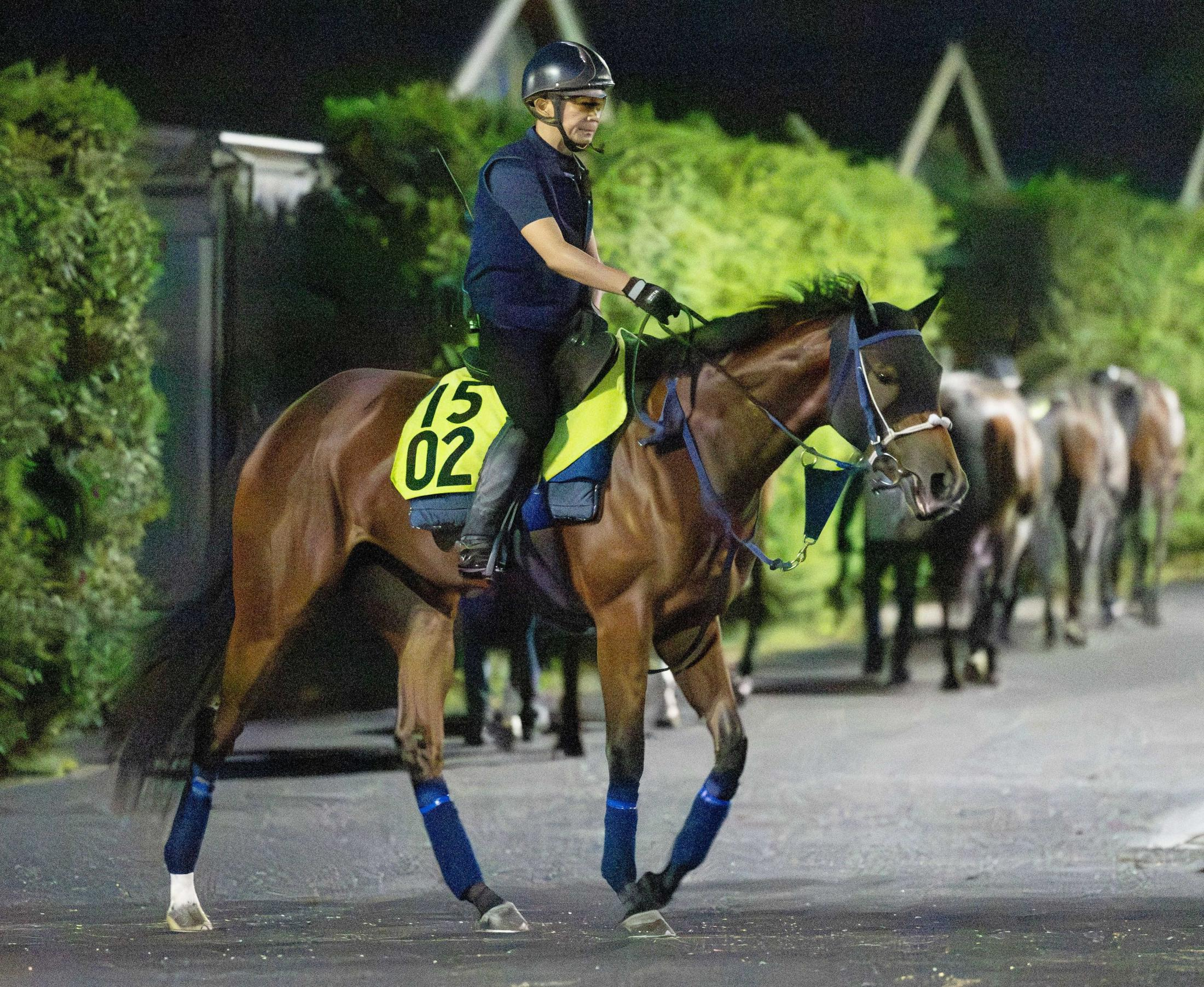 【野路菊Ｓ】ジーティーサクラ　圧巻Ｖ飾った舞台で連勝へ　田嶋助手「通過点であって欲しいね」