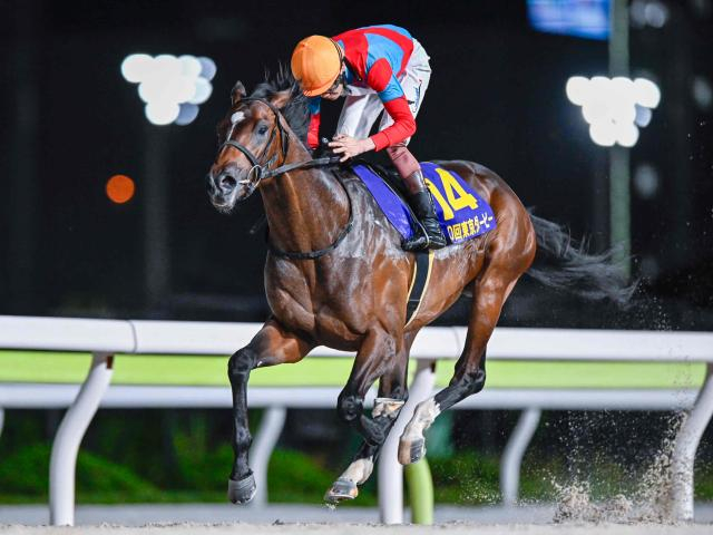 【シリウスS想定】ラムジェット、リアレストなど15頭