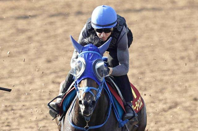 【注目馬動向】秋初戦の毎日王冠を見送り　オークス3着馬ラフターラインズは右前脚のひづめに熱感を確認
