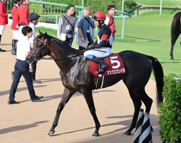 【注目馬動向】春2冠の雪辱へセントライト記念4着のアスクエジンバラは菊花賞に挑む