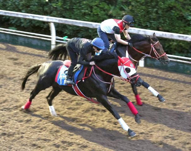 【オールカマー】5か月ぶりでもリビアングラスはいきなり全開モード　陣営「いいイメージで競馬に行けます」