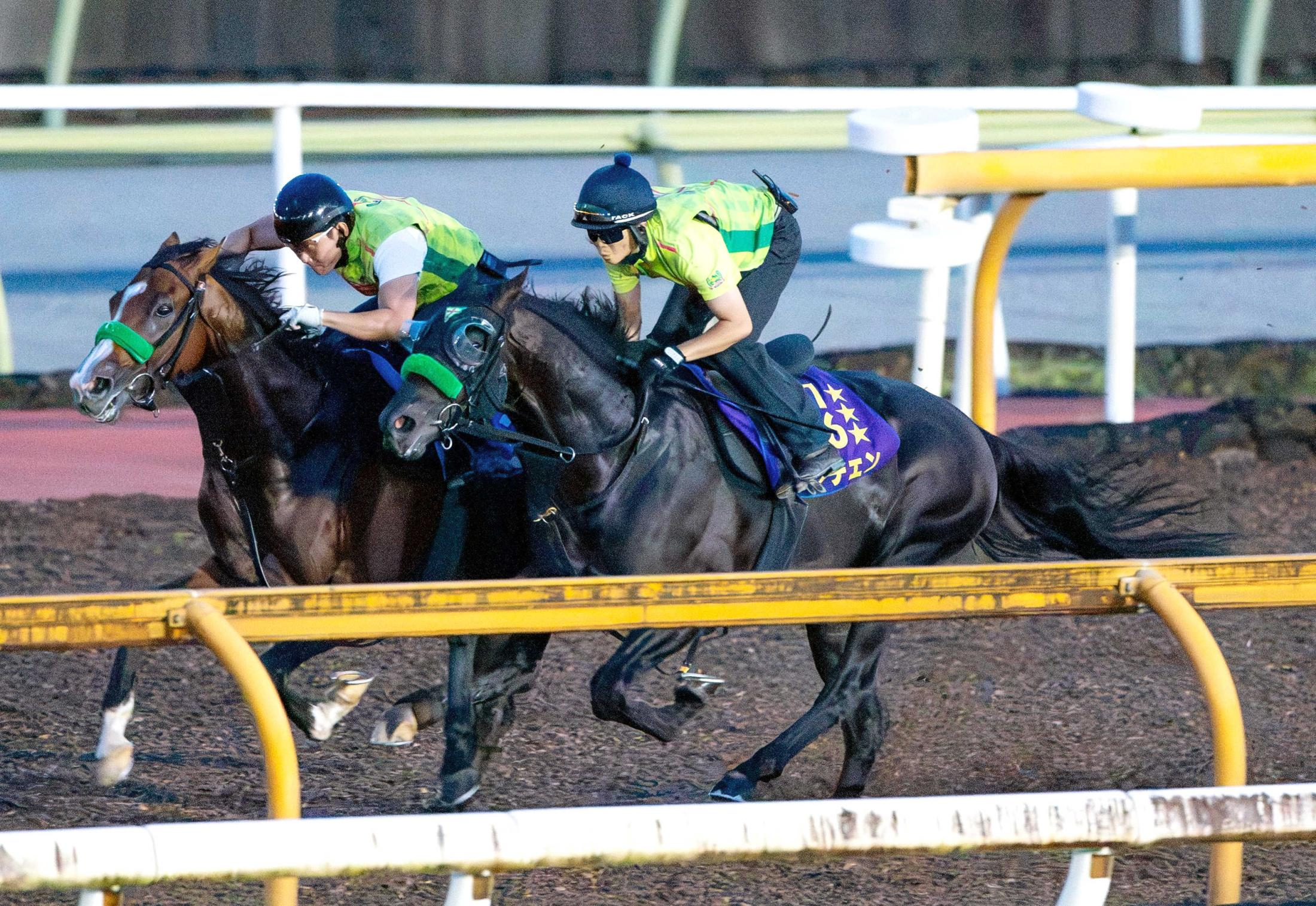 【神戸新聞杯】ロブチェン　最終追いで魅せた！さすがの瞬発力　３冠へ重要な一戦に房野助手「着順はもちろん中身のあるレースを」