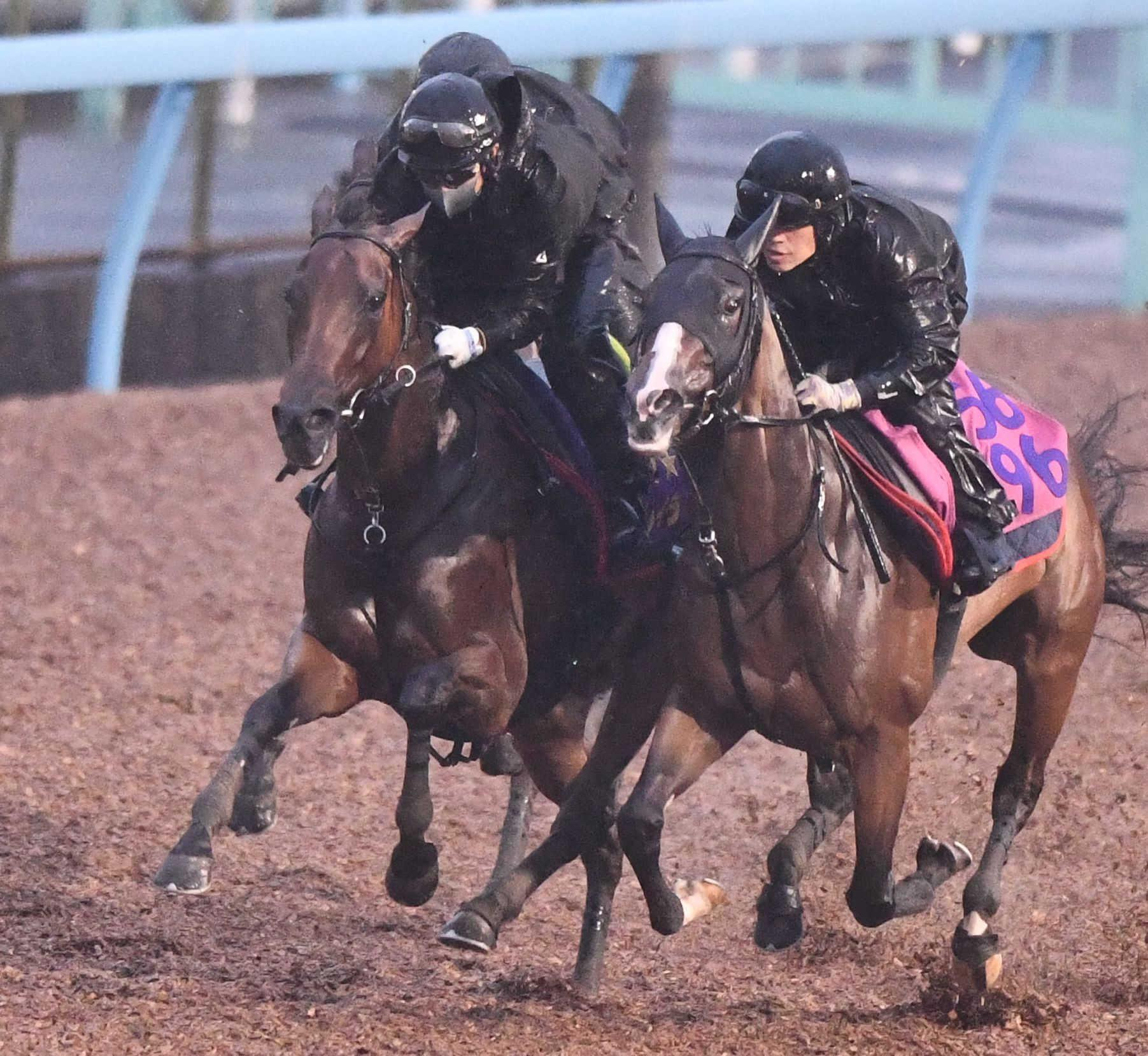 【オールカマー】レガレイラ　最終追いは文句なし　ぬかるむ馬場で鋭脚披露も太田助手は天候不安視「できればきれいな馬場を」