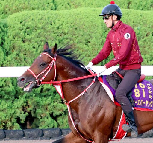 単なる前哨戦ではないフォーエバーヤングの秋初戦　坂井瑠星騎手「いつも通りの競馬」で狙うは勝利のみ　ジョッキークラブGC