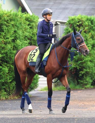 【野路菊S】歴代最速の切れ者ジーティーサクラ　陣営「使ったことで、前回より動きは全然いい」