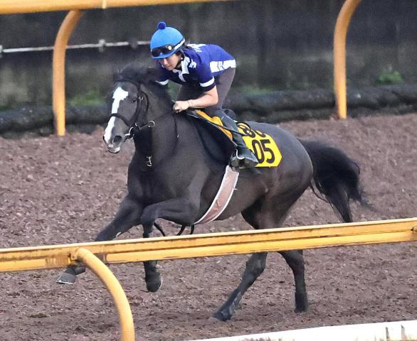 【オールカマー・データ埋蔵金】4歳牝馬が強いG2　吉田隼人騎手&武幸厩舎のクイーンS3着馬に期待