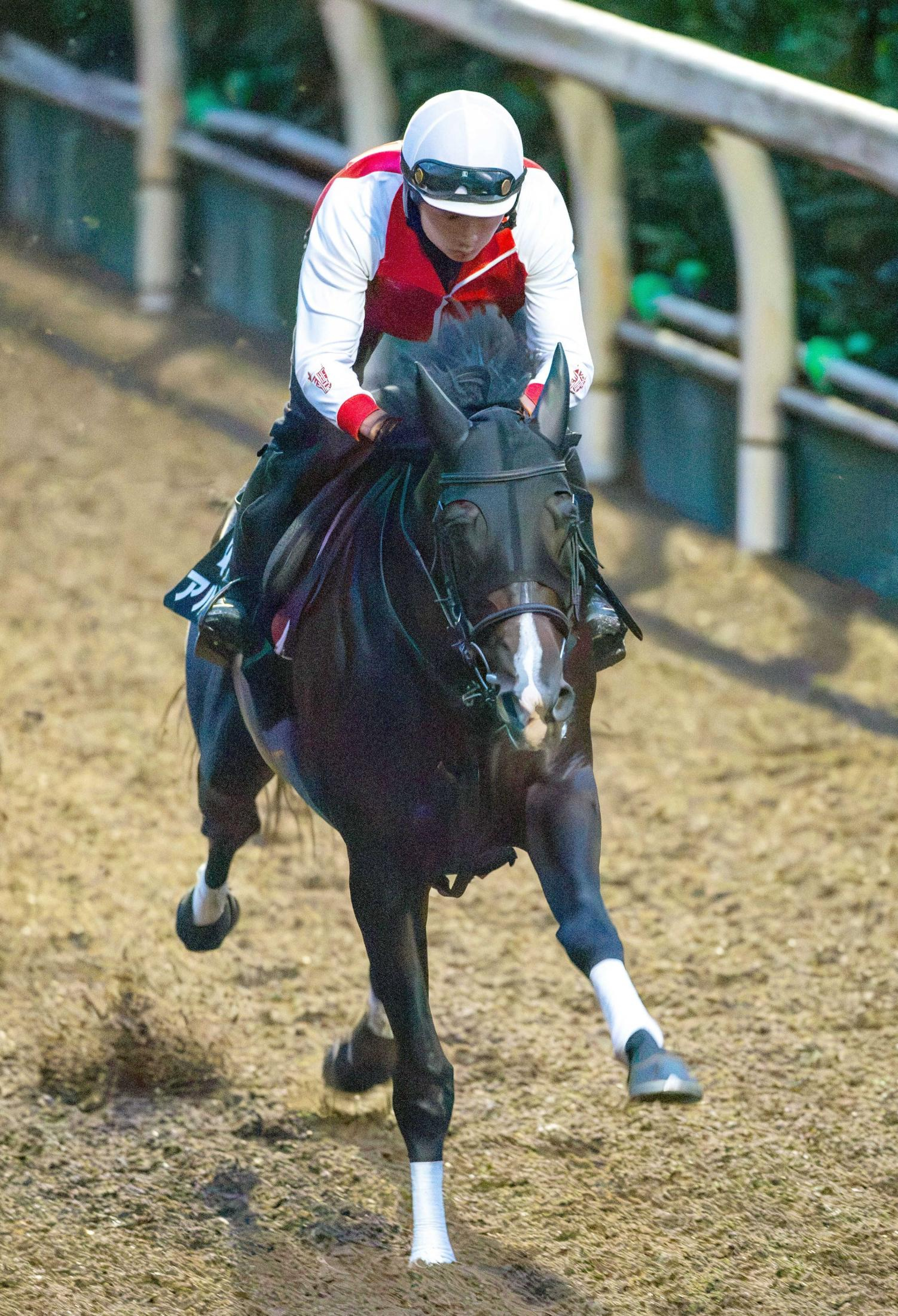 【神戸新聞杯】アルトラムス　重馬場なんの軽快登坂　野中師「動きの質かなり良くなった」重賞Ｖの仁川で２冠馬に一撃だ