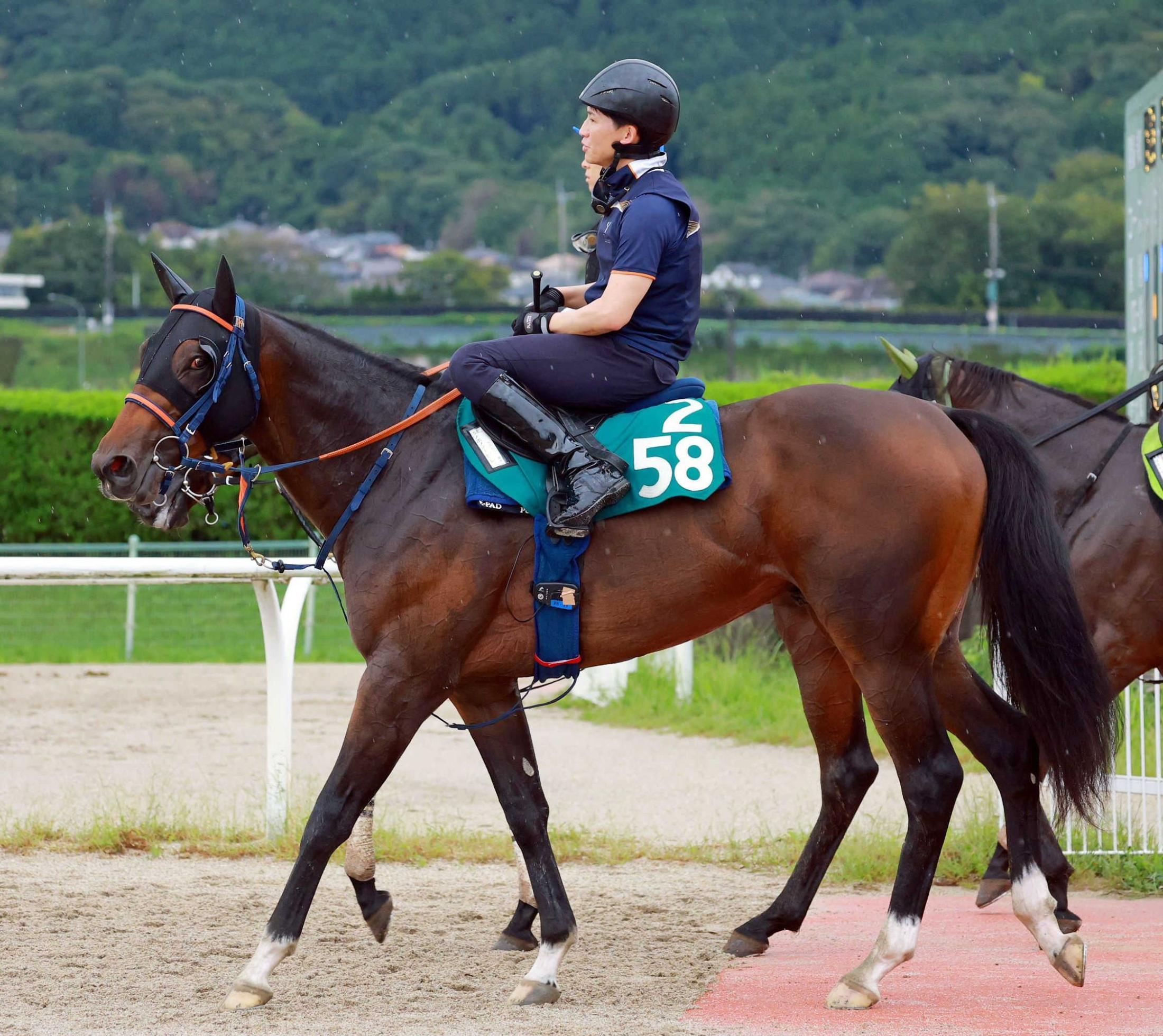 【新馬戦】シホノノービレ　エンジン性能ピカイチ　佐藤悠師も期待「初戦から動いて欲しい」