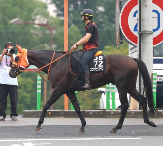 【神戸新聞杯・データ埋蔵金】競馬の祭典の経験が生きる菊花賞トライアル　ロブチェンの相手候補は京都新聞杯覇者