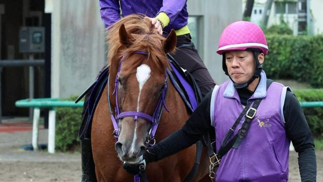 【スプリンターズS】連覇を狙うウインカーネリアンは1週前追い切り後も順調　鹿戸調教師「順調にきています」