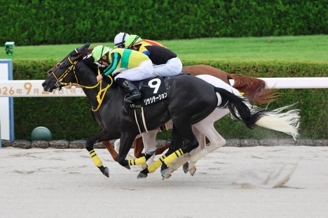 【阪神11R・大阪スポーツ杯】リサシテーションが末脚伸ばして接戦を制す　菱田裕二騎手「切れる脚を使ってくれた」