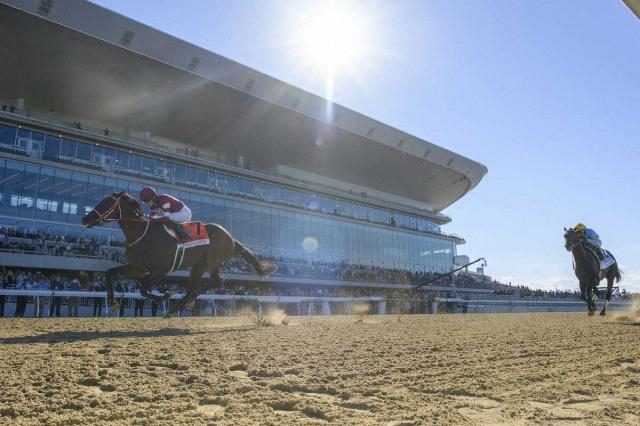 【米ジョッキークラブゴールドC】2頭送り込んだモット師　フォーエバーヤング称賛「一番強い馬」