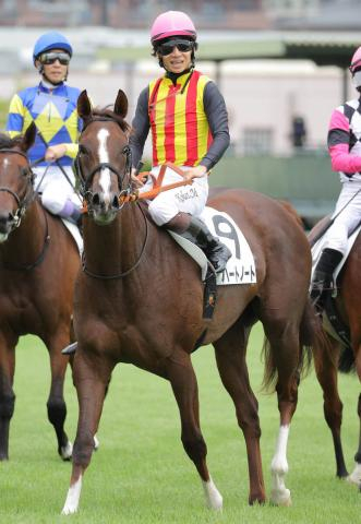 【20日の注目・阪神3R】良血馬対決に惜しくも敗れた桜花賞馬の半妹が中1週で登場　高野調教師「使って良くなっています」