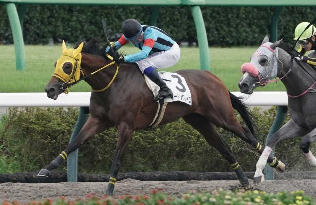 【中山4R】マートングレイスが差し切ってデビュー勝ち　岩田康「狭いところも関係なく伸びてくれた」