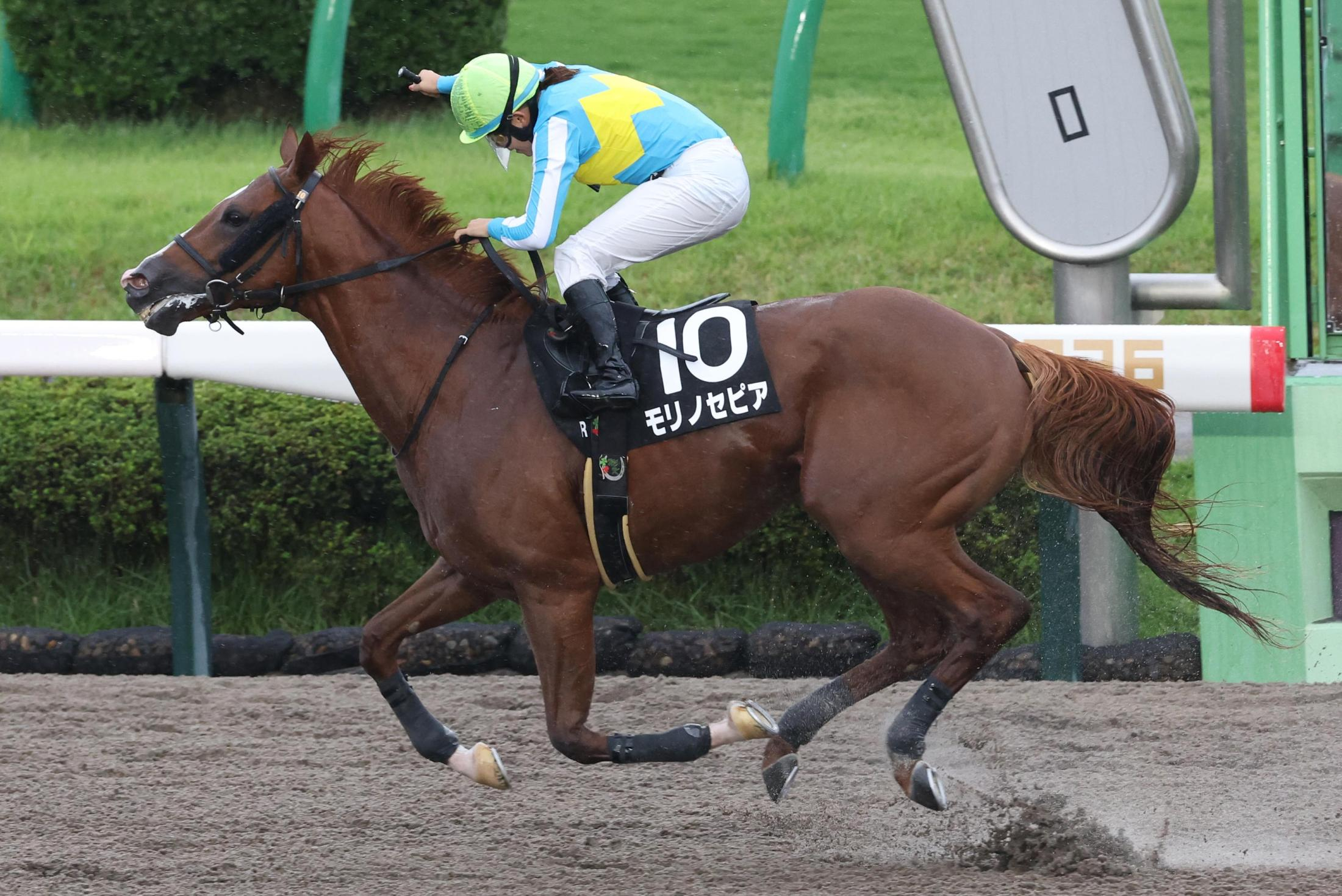 小林美駒騎手が中山１０Ｒで今年のＪＲＡ３９勝目＆１０５勝目　「ペースが速くなるのは分かっていたので、前２頭を見る形でレースを進めました。結果を出せて良かった」