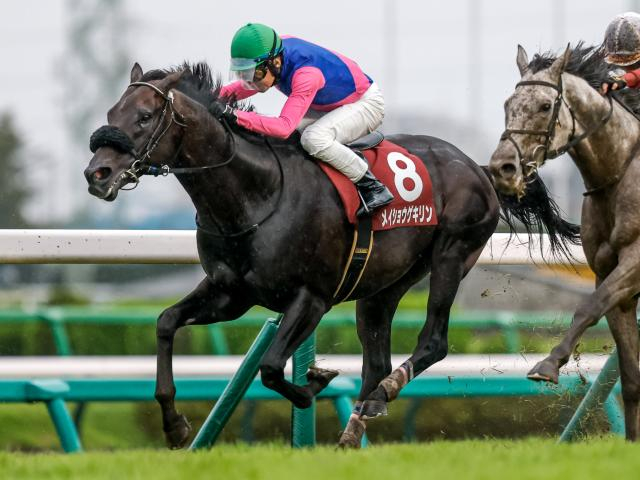 【オールカマーレース後コメント】メイショウゲキリン田辺裕信騎手ら