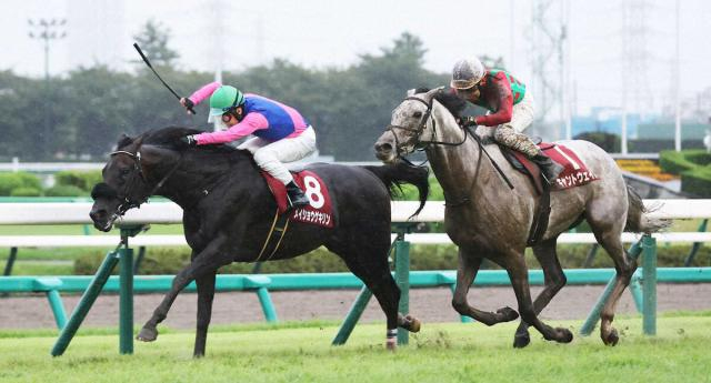 【オールカマー】伏兵7歳メイショウゲキリン　苦節33戦目で重賞初V　障害挑戦での肉体強化が奏功