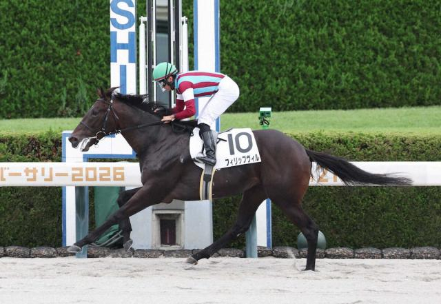 【阪神新馬戦】フィリップヴィル　4馬身差の圧勝　岩田望は伸びしろに期待