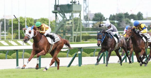 【阪神新馬戦】ミランダスマイル　初陣V　岩田望「レースセンスが良い」