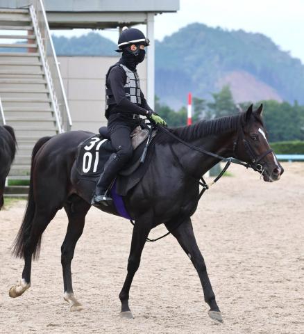 【神戸新聞杯】武豊騎手と初コンビの5・9億円馬エムズビギンは5着　最後方追走から「一瞬飲み込むかなと」