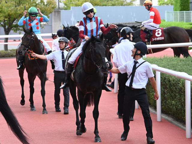 【神戸新聞杯レース後コメント】ロブチェン松山弘平騎手ら