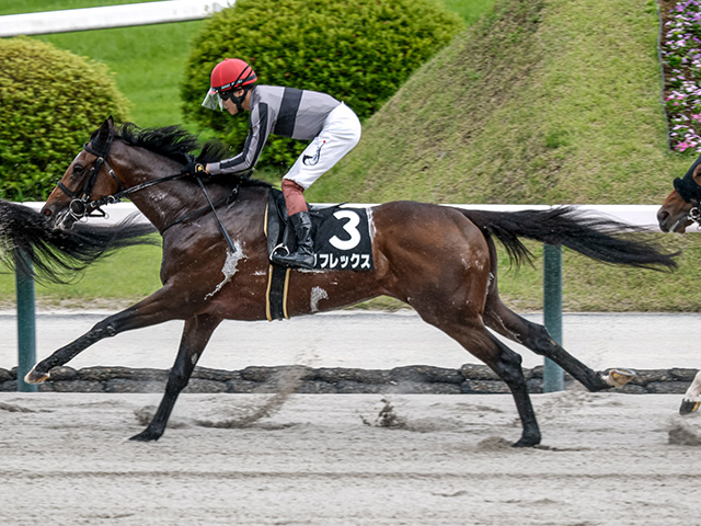 【今日の注目ポイント】中山で代替競馬 金沢では白山大賞典