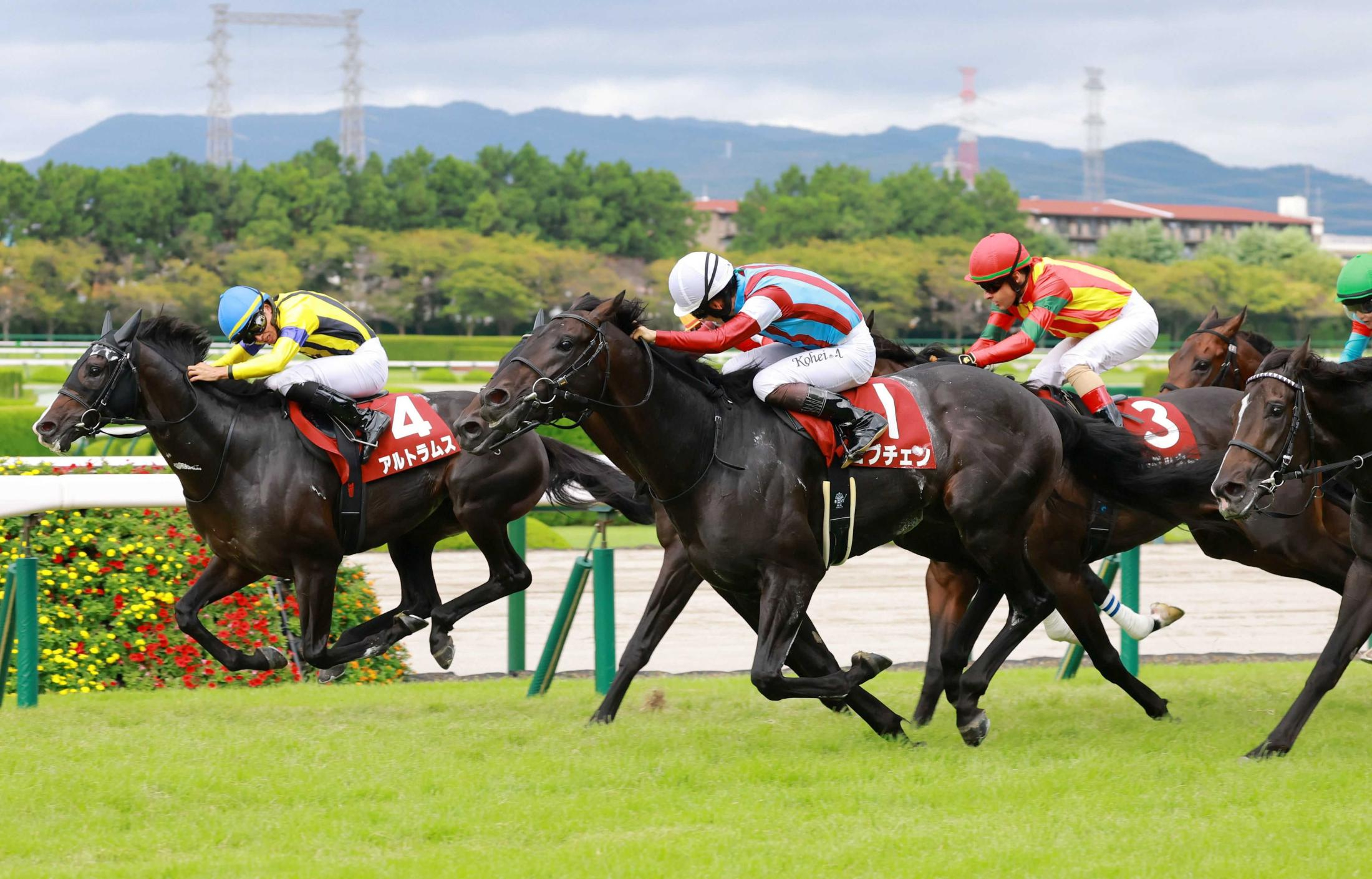 【神戸新聞杯】ロブチェン鼻差の大接戦制した！菊へ視界良好　史上初同騎手＆調教師の牡牝Ｗ３冠へ不安なし  年間１００勝達成の松山導いた