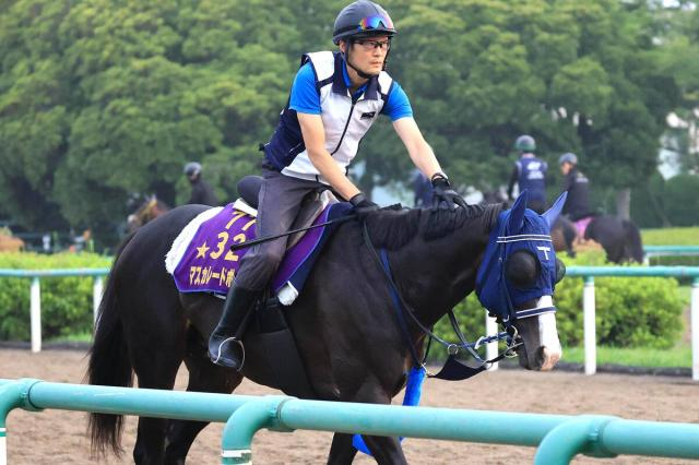 【注目馬動向】″キングジョージ”から巻き返し図るマスカレードボールは天皇賞・秋へ　手塚久調教師「使う方向です」