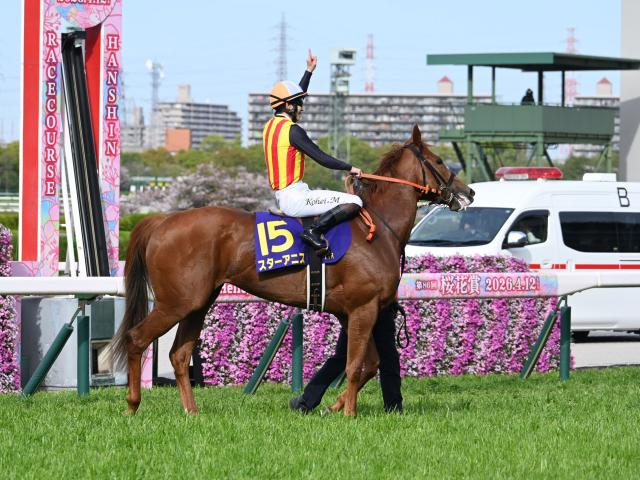 秋のGI開幕戦・スプリンターズSとシリウスS/今週の競馬界の見どころ