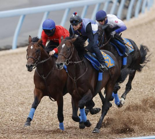 【シリウスS】リアレストは今週復帰の荻野極騎手とコンビ継続で重賞初挑戦V狙う　尾関調教師「前走を踏まえた感じで…」
