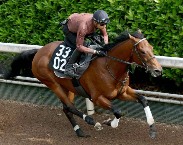 【注目馬動向】ダート3冠最終戦でシルバーレシオの鞍上が横山武史騎手に変更　岩田望来騎手が騎乗停止のため