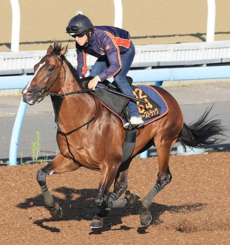 【注目馬動向】関屋記念9着のサンダーストラックはスワンSで1400メートルに初挑戦へ　キャロットクラブが発表