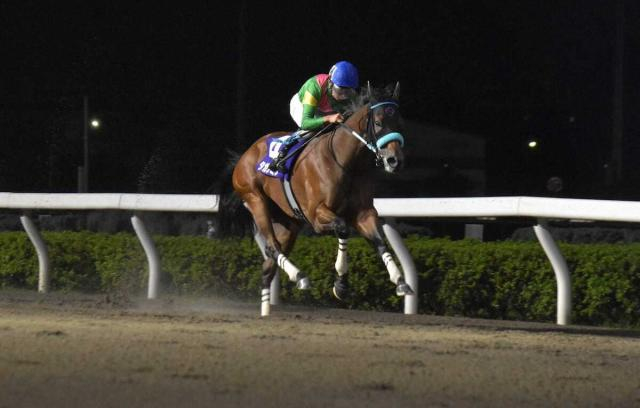 【浦和競馬　オーバルスプリント】タガノミスト　逃げ切って重賞連勝　秋の大目標を視界に捉えた