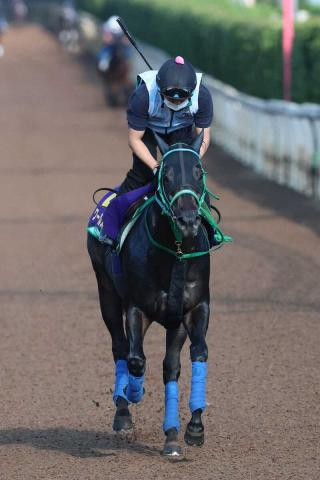 【スプリンターズS】(6)ワールズエンド　枠に満足げ　池添師「道悪になっても大丈夫」