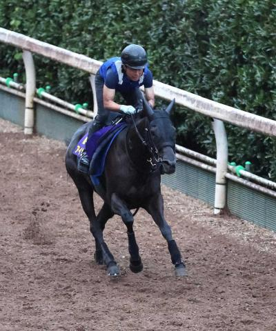 【スプリンターズS】(2)アイサンサン　内の好枠生かす　橋田師「ぶれずに走れたら」