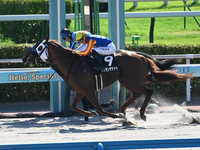 【シリウスS予想】ダート中距離路線の前哨戦 阪神2000mハンデ重賞は底力勝負