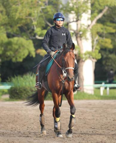 【26日の注目・阪神12R】セレクト3億円の超高額馬スターウェーブが初ダートで新境地を切り開く