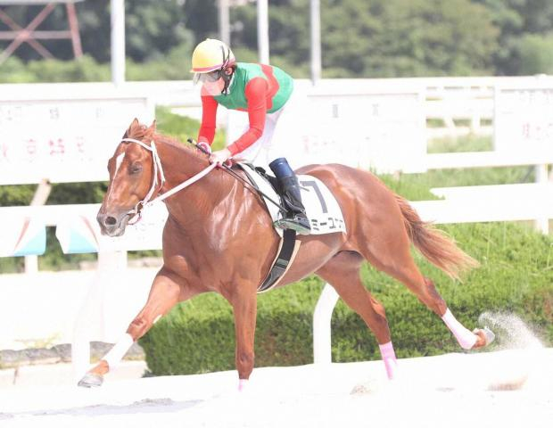 【阪神アーバン競馬プレーバック】マミーユウガが新馬戦を圧勝　2歳世代にまた有望株現る