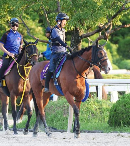 【スプリンターズS】武豊騎手「現状はここまでかな」23年Vのママコチャは中団追走から10着に沈む
