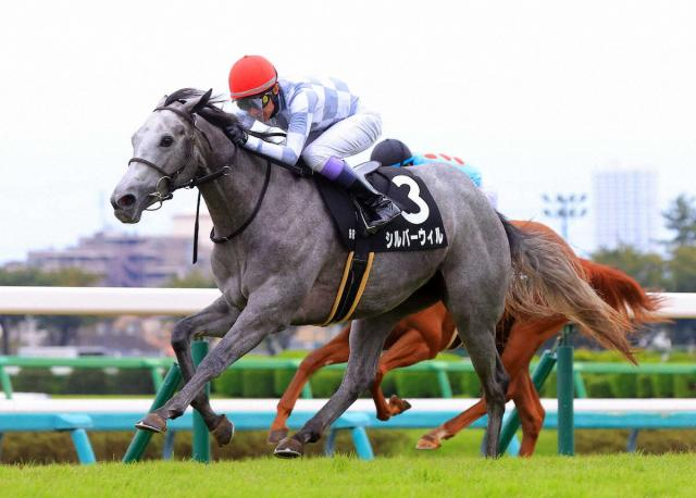 【中山9R・サフラン賞】2番人気シルバーウィルが逃げ切り無傷V2　武豊「凄く真面目に走る馬」