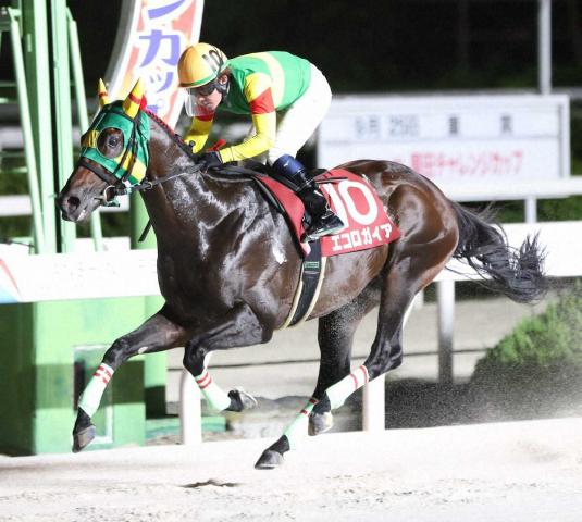【阪神アーバン競馬プレーバック】実績十分のエコロガイアが園田チャレンジカップ快勝　JRAから転入初戦