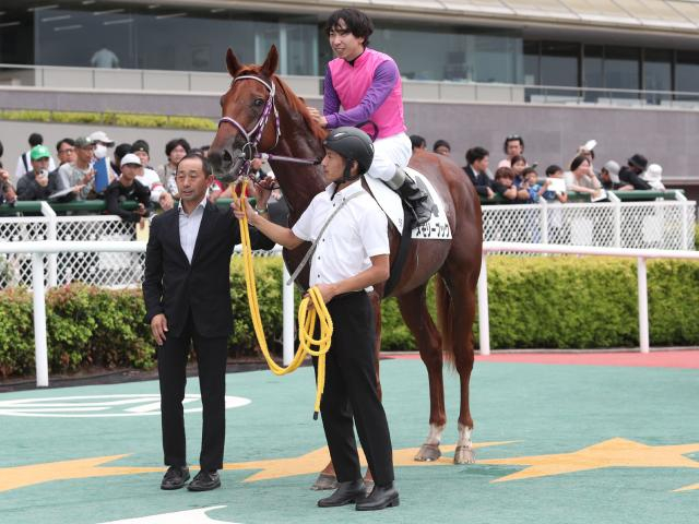 【メイクデビュー阪神5Rレース後コメント】メモリーブック横山和生騎手ら