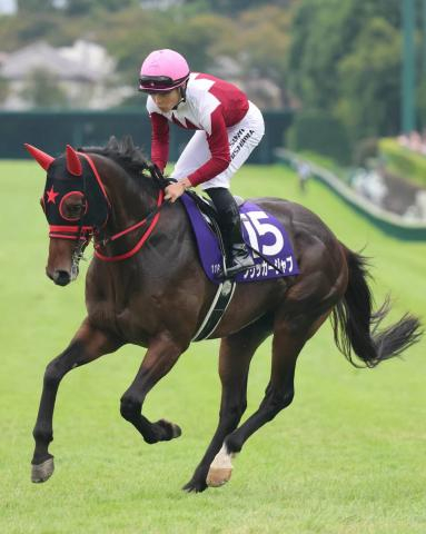 【スプリンターズS】直線失速のフリッカージャブは「良馬場なら違う」西村淳也騎手も無念の12着