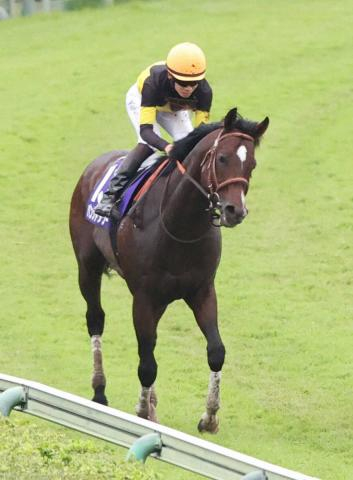 【スプリンターズS】2番人気パンジャタワー15着大敗　松山「ノメって馬の気持ちが切れてしまった」