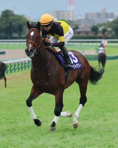 【スプリンターズS】「馬の気持ちが折れて…」松山弘平騎手も落胆　2番人気パンジャタワーはまさかの15着