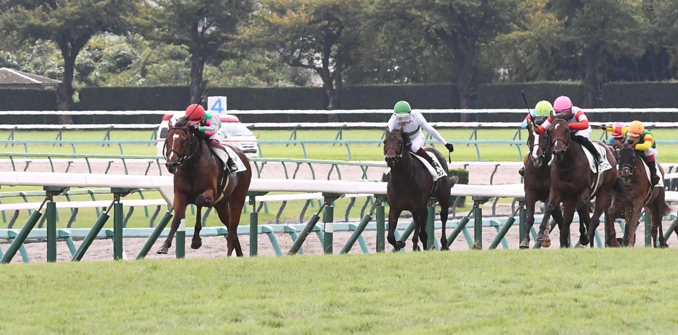 【新馬戦】ミエノヴィヴィッド　５馬身差完勝デビュー　三浦が成長に期待「オン・オフの切り替えできるようになれば」
