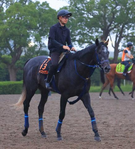【毎日王冠】データ分析　皐月賞2、3着馬が得意舞台で輝く