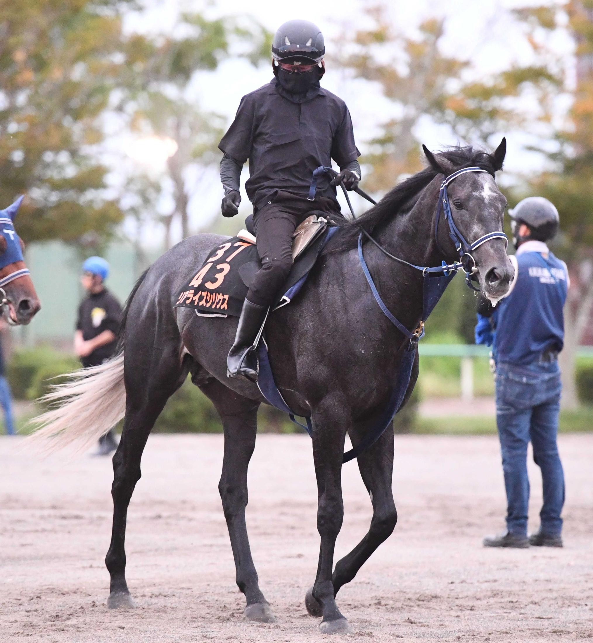 【毎日王冠】リアライズシリウス　再始動戦で古馬一蹴だ　手塚久師「あとは休み明けということだけ」