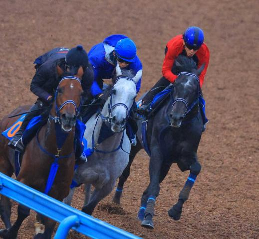【毎日王冠】リアライズシリウス　余力たっぷり併入　左回りに替わって動きスムーズに