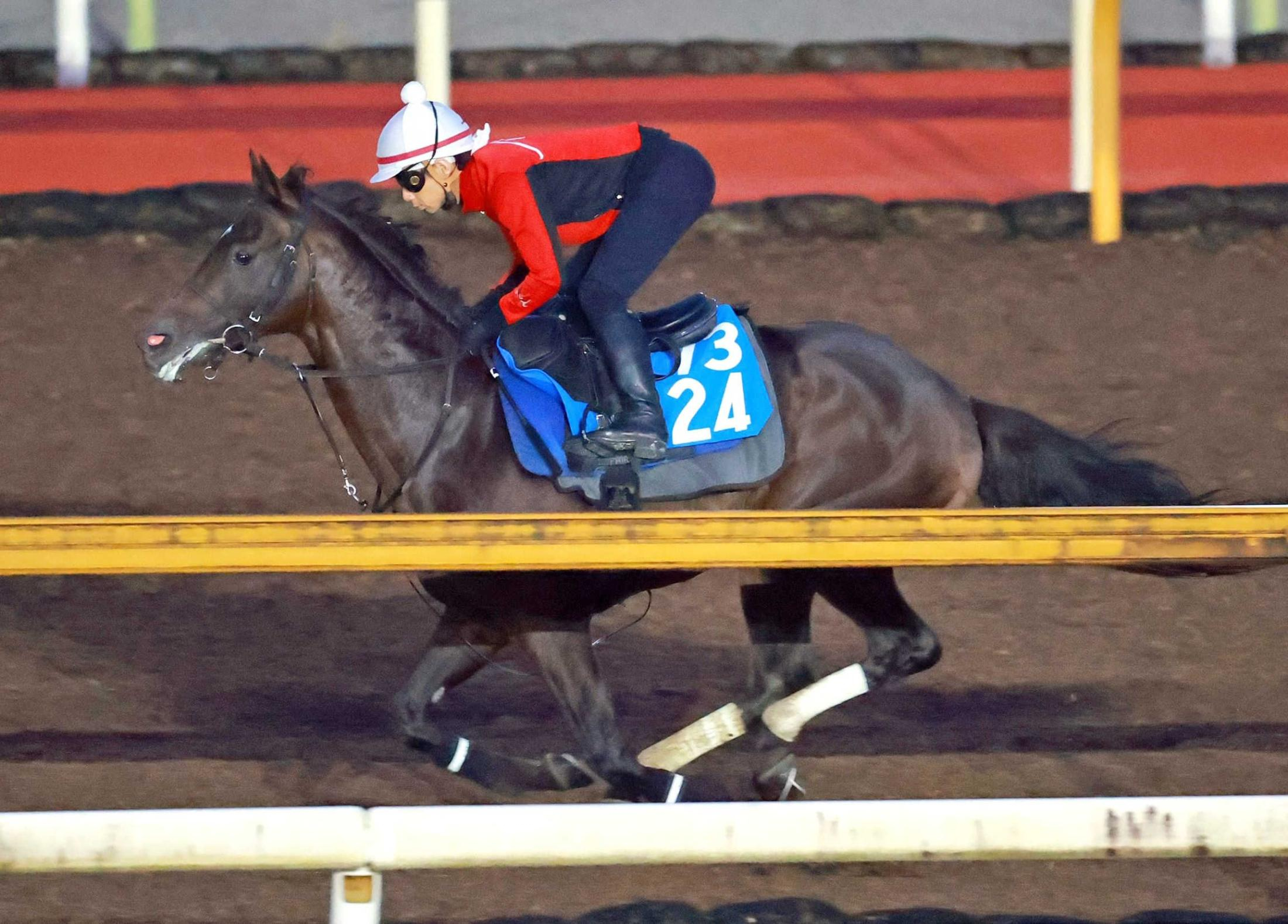 【京都大賞典】ダノンシーマ　重賞初制覇へ好感触　栗東ＣＷで中内田師自ら状態チェック「元気いっぱいですよ」